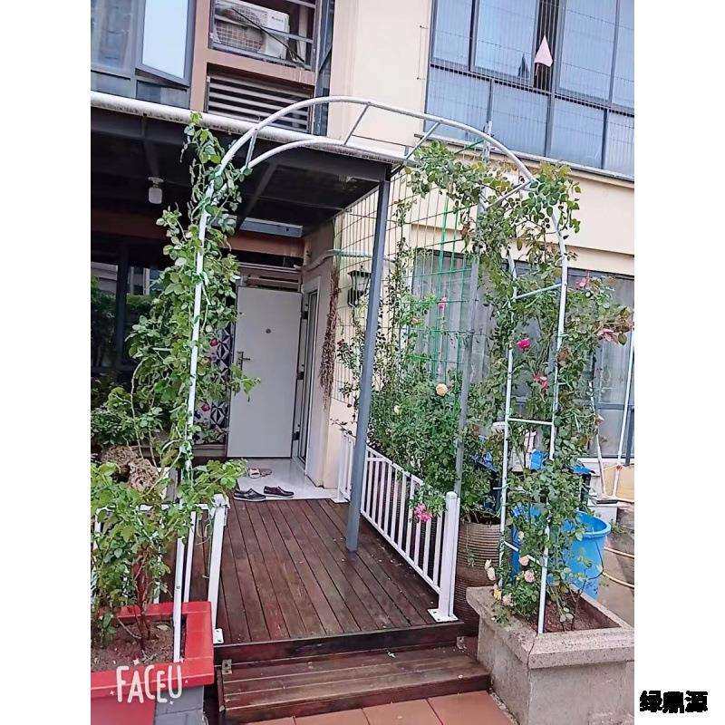 格蔷庭院爬藤架植物攀爬架丝瓜搭架户外葡萄架铁艺拱门花架室内花