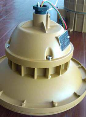 XQF(SBF)6101免维护节能防水防尘防腐灯 防爆无极灯低频无极灯