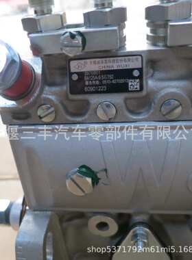 适用于东风康明斯发动机6BT高压燃油喷射泵3976801工程机械燃油泵