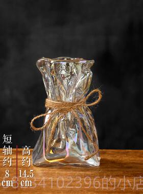 新款创意加厚玻璃约瓶客简透明水培插花器小众厅绿植花摆件高级感