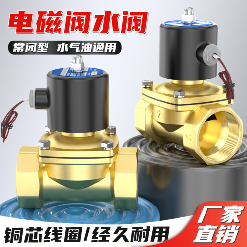 常闭2W电磁水阀AC220V电磁控制阀DC24V水开关阀气阀2分4分6分1寸