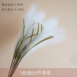 正品北欧IN仿S网红真花芦苇假花轻件奢家居装饰餐桌花瓶摆毛蒲绒