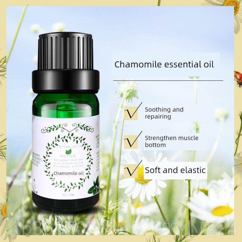 高档国洋甘菊精10ml德单油侧植物面部护摩肤紧致按香薰