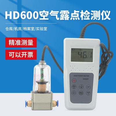 露点仪HD600空气露点检测仪温湿度表空气湿球工业环境温度湿度计