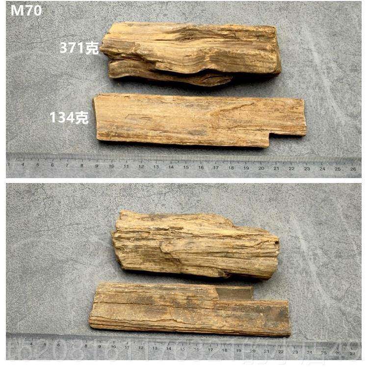 正品黑龙江木化然石冰河时天树化玉硅期石化木原石摆件观赏标本礼