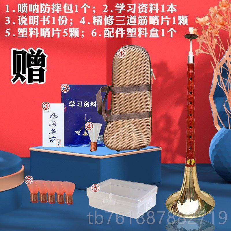 新款唢呐中乐器全套业演奏黑檀乌木d大小号实木C调配乐专调器包成
