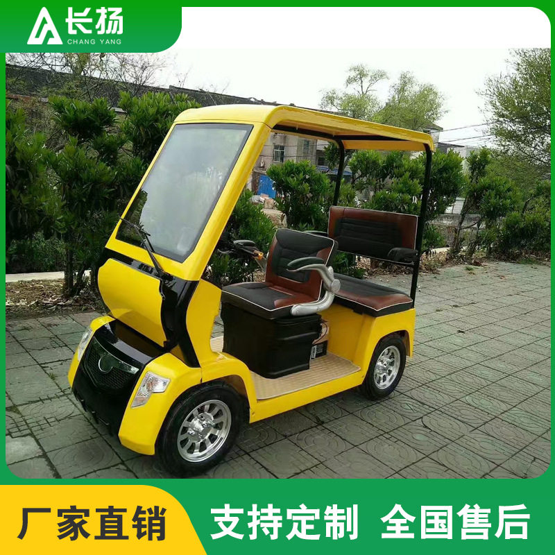 小巴士电动四轮车老年代步车双人座景区观光车