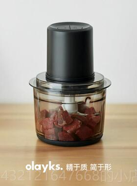 高档oly肉ksa立时绞肉机家用小型电动碎打馅蒜泥能多功全自动搅拌
