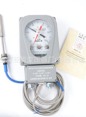 BWY(WTYK)-802ATH/803ATH油面温度控制器4-20mA变压器用温控器