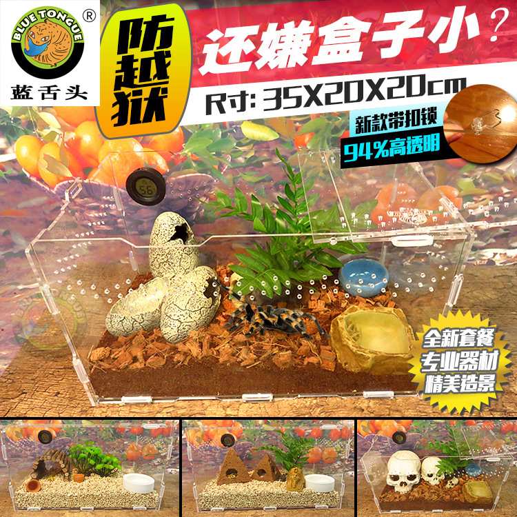 爬虫红火玫瑰蜘蛛亚克力饲养箱盒雨林蝎守宫蜈蚣宠物玉米蛇352020
