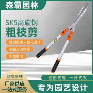 可伸缩大力园艺粗枝剪 园林绿篱大剪刀 手动省力园艺果树高枝剪