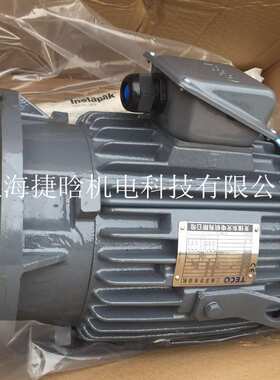 TECO东元电机三相异步马达25HP 18.5KW 4P AEEFF3 AEVFF3 IE2