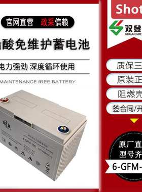 双登蓄电池6-GFM-100/12V65AH/120AH/150AH/200AH直流屏UPS蓄电池