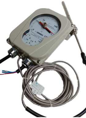 温度控制器 BWY-803ATH BWY(WTKY)-803ATH  杭州华立