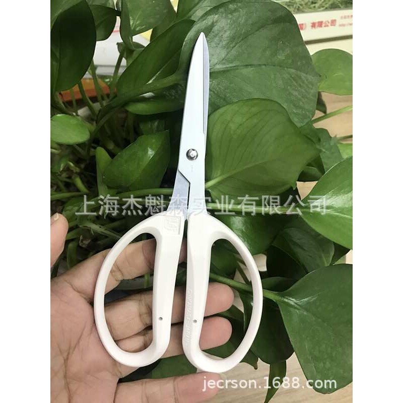 近正大嘴鸟修枝剪米白色CRI-360SFW盆栽粗枝剪花艺剪刀园林修枝剪