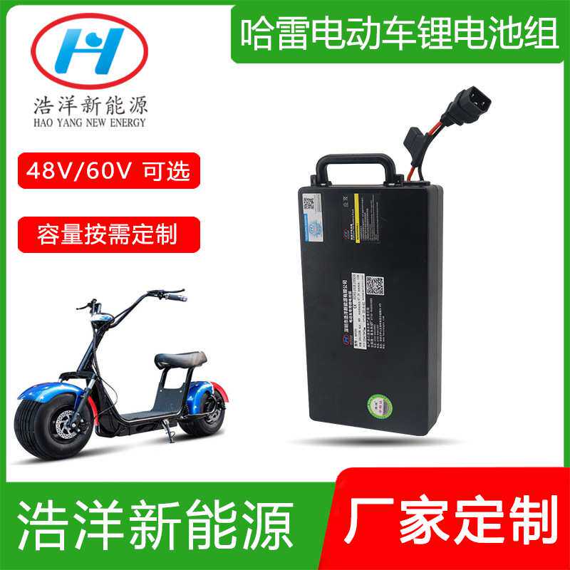 浩洋锂电池哈雷电动自行车48V60V12Ah20Ah电芯组耐低温锂电池组