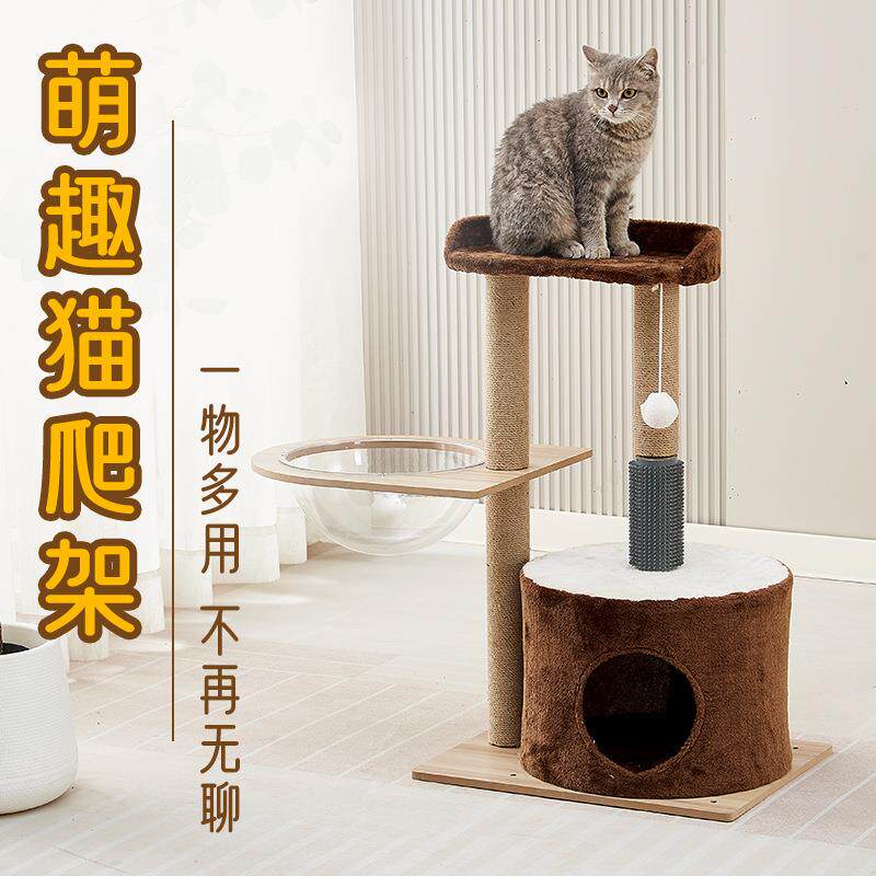 猫爬架逗猫球猫窝猫树一体太空舱稳固萌趣猫猫爱玩猫爬架工厂直发