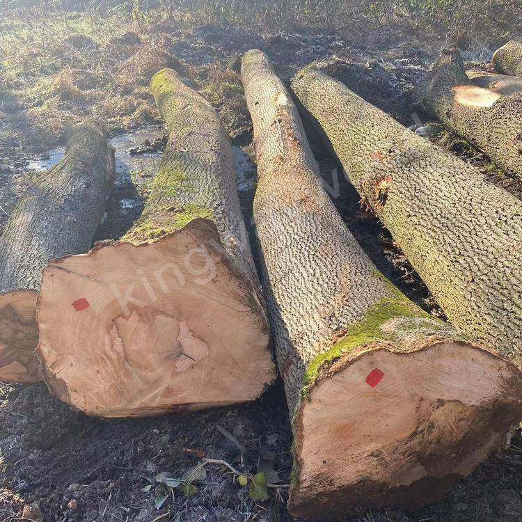 欧洲原木实木进口圆木白腊原材料锯材白蜡木家具木料木板餐桌大板