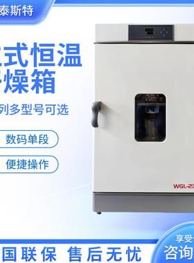 天津泰斯特 WGL-30B/45B 电热鼓风干燥箱 恒温干燥箱烘箱 实验室