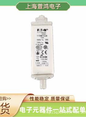 170M6340 170M6341 170M6342 170M6343原装 高压熔断器直流熔芯