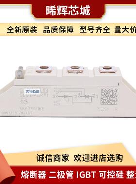 SKKT210/22EH4 SKKT213/08E 型号齐全 标准封装可控硅整流器