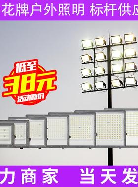 花牌LED市电220V泛光灯 户外防水照明灯具 投光灯 庭院灯 厂家直