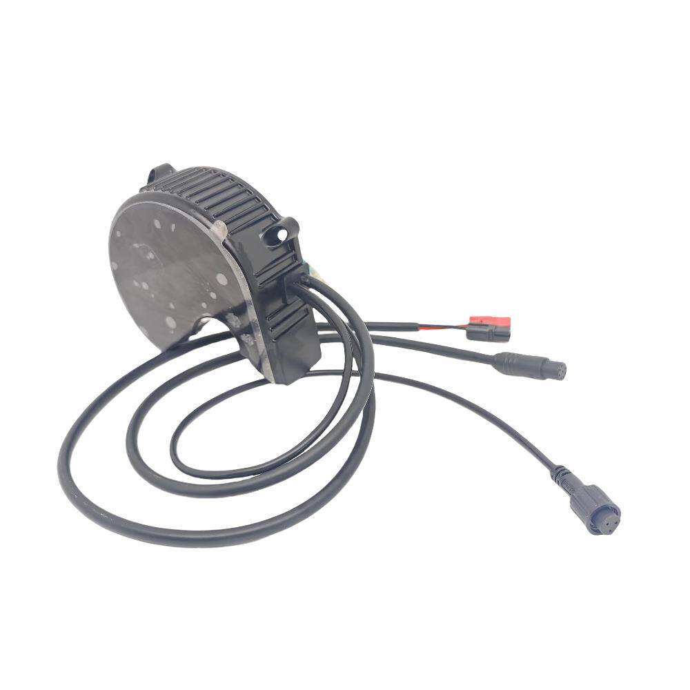 8Fun八方中置电机BBS01旧款电机控制器 48V 36V 250W-750W 电机