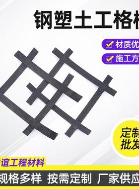 80kn100KN路基GSZ双向钢塑复合土工格栅 路面加筋用钢塑双向格栅