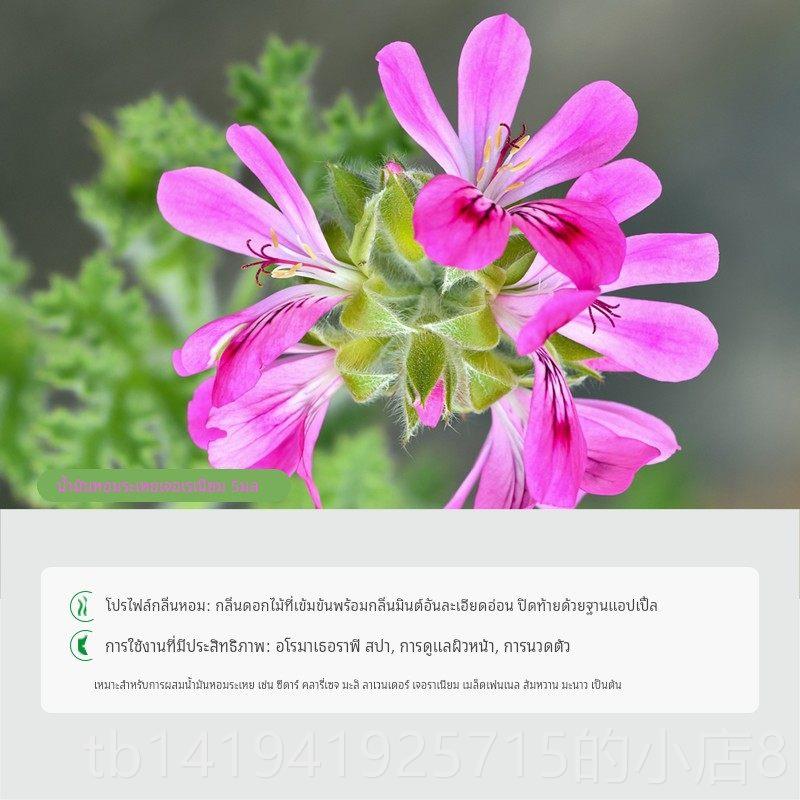 正品进口法国竺葵单方精油ml脸部按摩平衡油脂泌紧实分香5薰护天