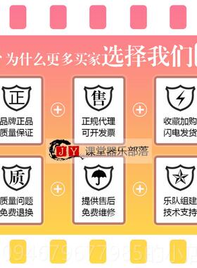 正品可开票对公 S玛MAR低T斯特专业乐高队竖笛超高音音中音次中音