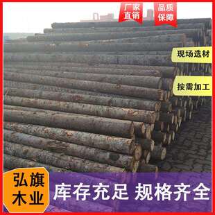 供应杉木河道原木墩木防洪杉木桩工程杉木桩原木桩