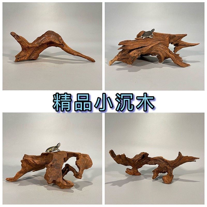树根摆件 枯木鱼缸造景紫柚木精品小号沉木迷你水族装饰树桩晒