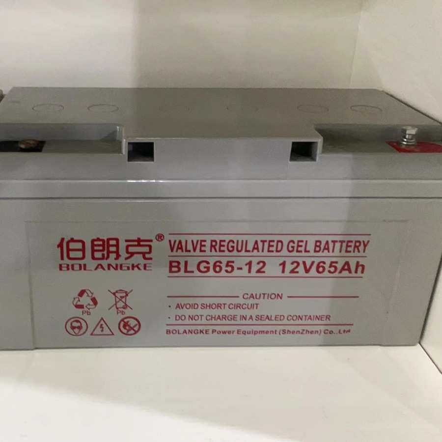 伯朗克蓄电池BLG65-12 12V24/38/65AH100AH机房UPS/EPS直流屏配套