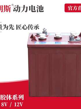 6V225Ah观光车蓄电池 观光电动车电瓶DT106