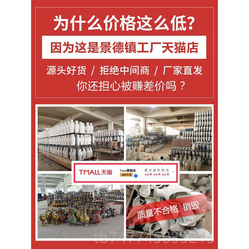 新款景镇陶瓷器花花瓶客厅插电中式仿古居德家视柜摆件书房博古架