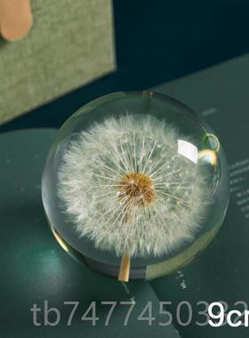 新款蒲公标本脂水晶英球植物摆件滴树胶品永生花镇纸音成乐盒小夜