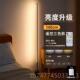 新款 客厅沙发灯高级感轻奢家卧用 落地灯音智能语感应室床头立台式