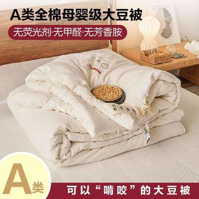 全棉A类无染原棉大豆纤维被四季通用冬被纯棉加厚保暖单双人被芯