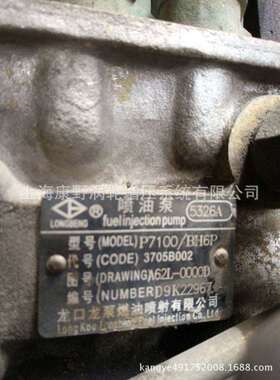 喷油泵总成5326A 62L-00000和 5025 M3400和3079 BHT6P120R313
