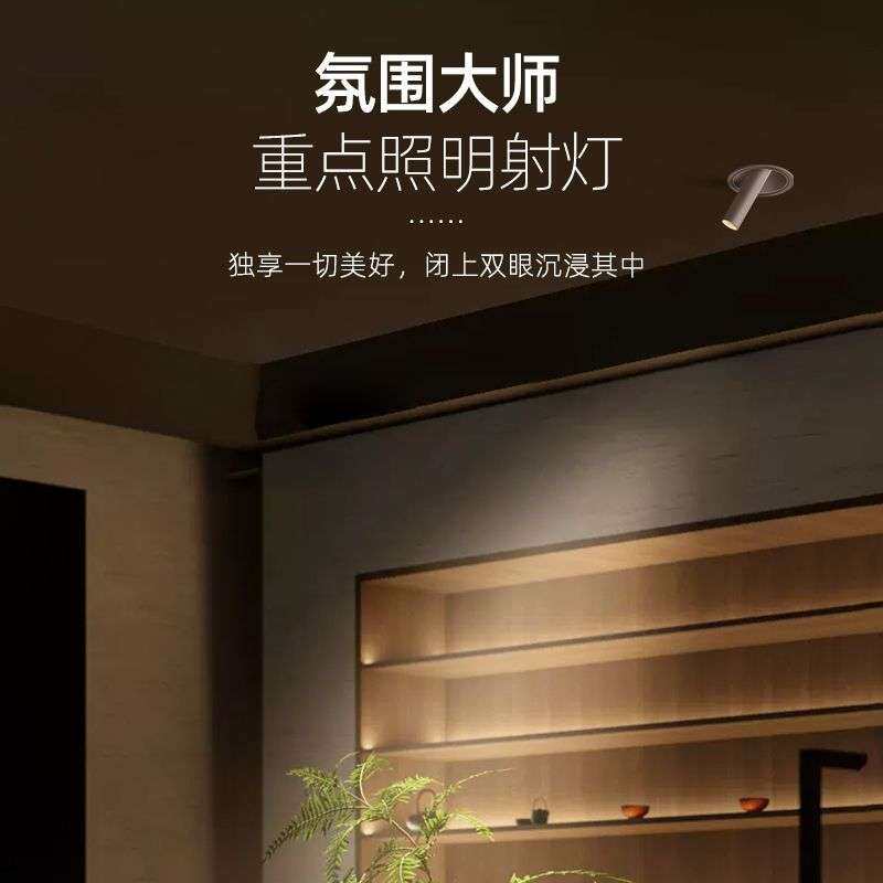 长筒射灯嵌入式重点照明墙画360度旋转调角度设计师餐厅创意长鼻