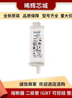 170M1572 170M4066 电子元器件 库存充足 型号齐全低压快速熔断器