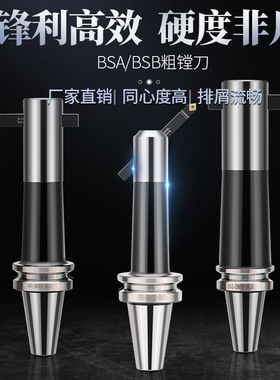 粗镗刀柄斜插BSA90度45度粗镗加工中心BT40-BSA20/25/30/38/42/50