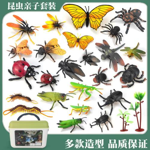 仿真昆虫模型儿童认知教具