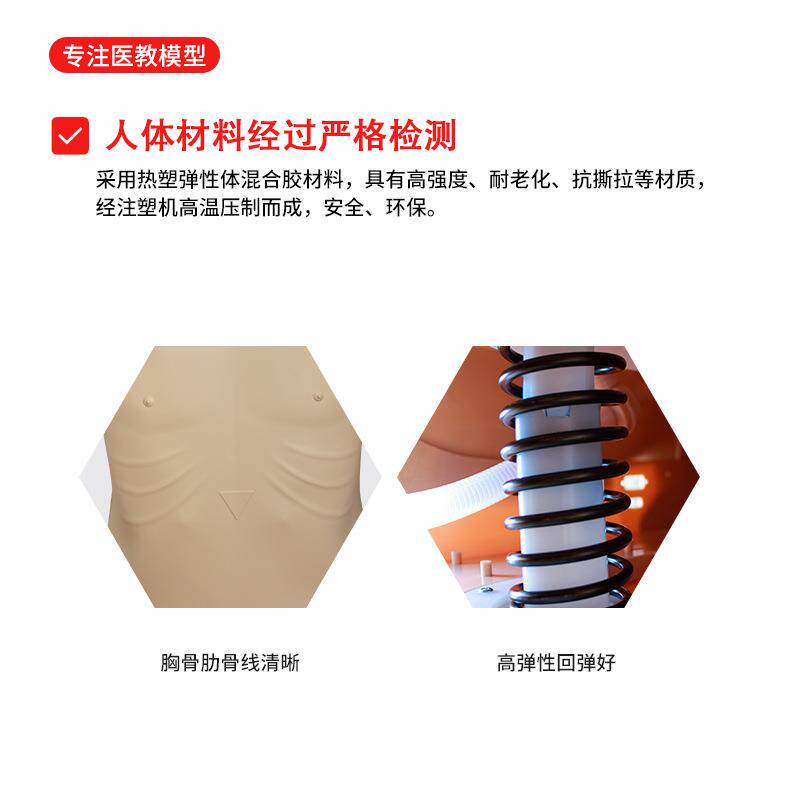身电子一半化LED灯压指示心肺复苏模拟人胸外按人782工呼吸假体人