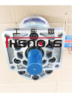 H轮CHC合肥长源齿泵CFRLBN-FH540/F50L/F63-BFP/BFPL/BF/BFH原装