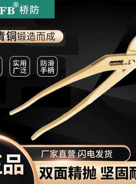 (桥防)天津桥防CNFB防爆德式套入式水泵钳T8252B