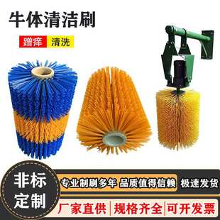 畜牧清洁滚筒旋转奶牛按摩清洗蹭痒马体刷全自动挠痒牛体刷