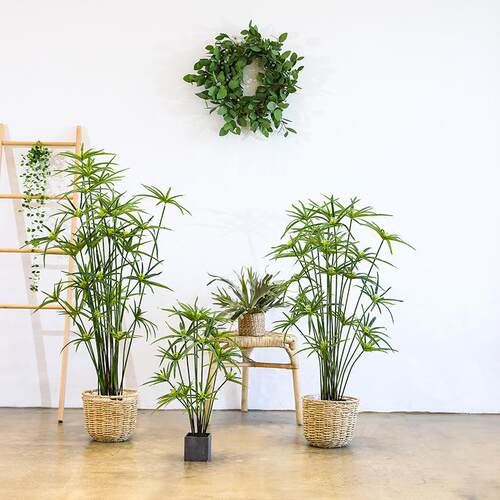 水竹盆栽真绿植室内家居植物摆件装饰品人造花义乌工厂仿真花婚礼