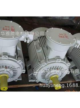 YE3VP315L12-185KW替代江六安YBBP电机整淮机及端风罩风盖叶-YBBP