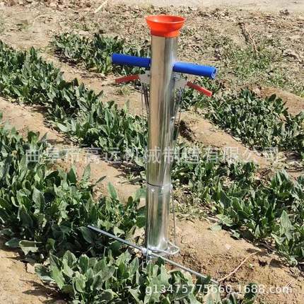 免弯腰蔬菜苗移栽小油RWR菜器苗栽苗机莴笋秧苗型移栽机